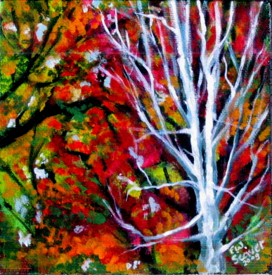 Autumn Beauty II